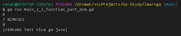 0112-273-go-function-basics-part-1-img-03.jpg