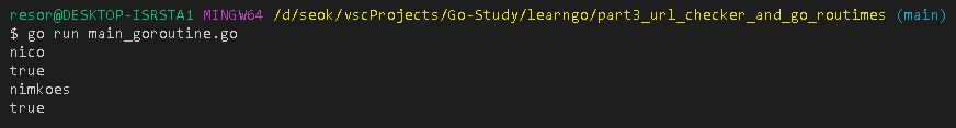 0131-292-go-url-checker-go-routines-channels-img-03.jpg