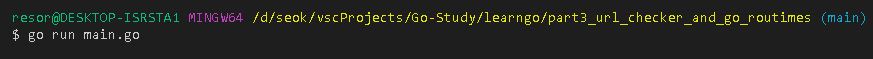 0134-295-go-url-checker-go-routines-url-checker-go-routines-img-01.jpg